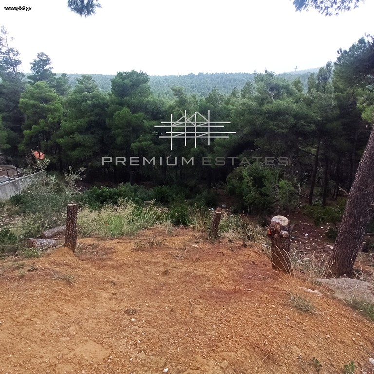 Οικόπεδο 1.042 τ.μ. προς πώληση, Θρακομακεδόνες