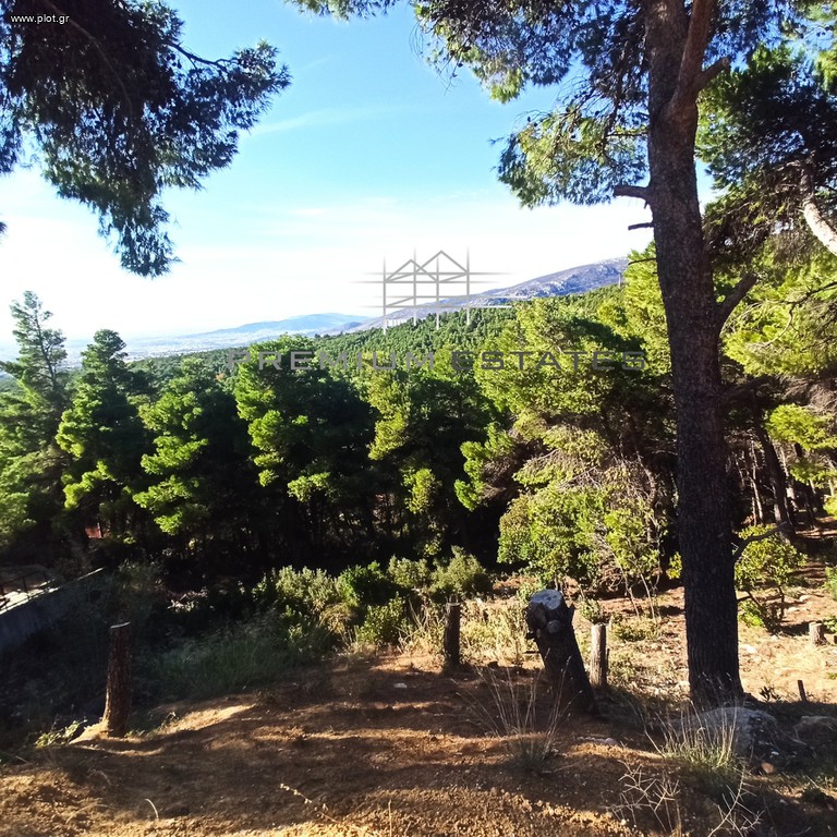 Οικόπεδο 1.042 τ.μ. προς πώληση, Θρακομακεδόνες