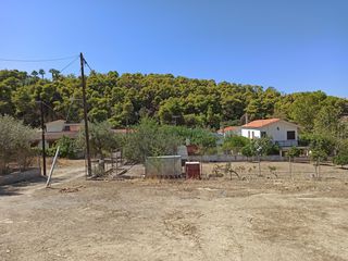 Οικόπεδο 503 τ.μ. για πώληση, Αττική - Υπόλοιπο, Αλεποχώρι-thumb-19
