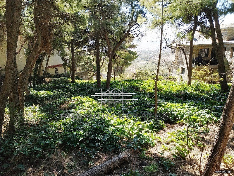 Οικόπεδο 1.206 τ.μ. προς πώληση, Θρακομακεδόνες