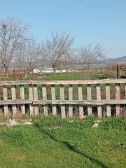 Άλλο 4.000 τ.μ. για πώληση, Ν. Κιλκίς, Χέρσο-thumb-2