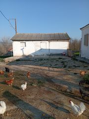 Άλλο 4.000 τ.μ. για πώληση, Ν. Κιλκίς, Χέρσο-thumb-9