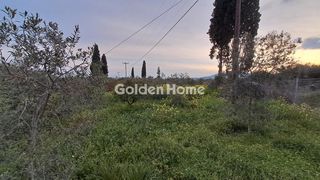 Αγροτεμάχια 4.790 τ.μ. για πώληση