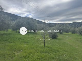 Αγροτεμάχια 4.108 τ.μ. για πώληση