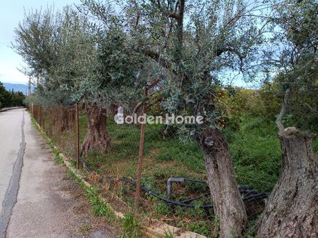 Οικόπεδο 4.000 τ.μ. προς πώληση