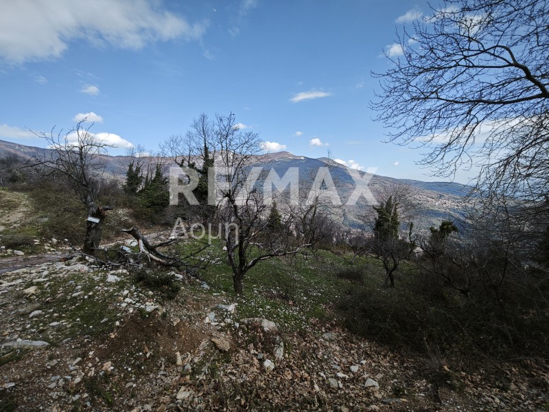 Αγροτεμάχια 2.570 τ.μ. προς πώληση, Χανιά Αγριάς