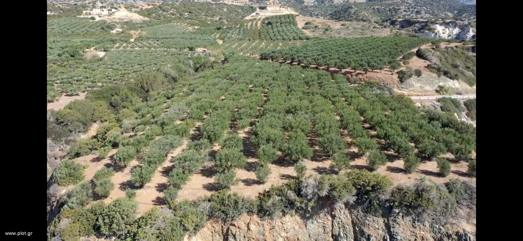 Οικόπεδο 6.200 τ.μ. πρός πώληση, Ν. Ηρακλείου, Βιαννός