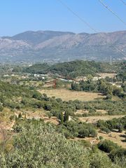 Οικόπεδο 23.000 τ.μ. προς πώληση, Πλαταριά-thumb-3
