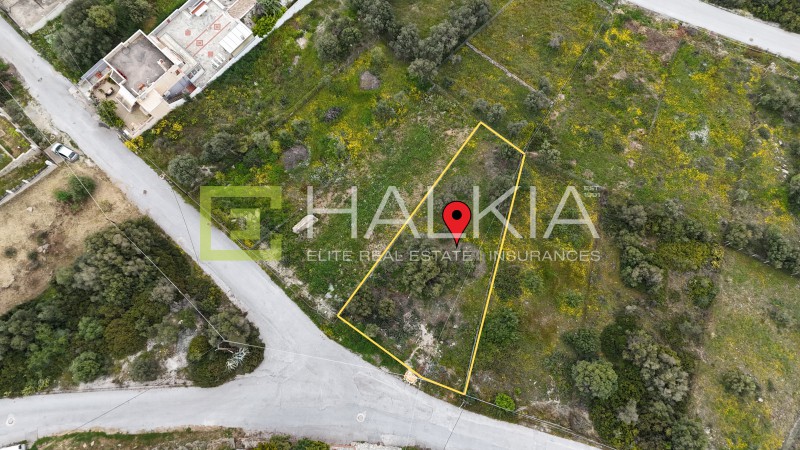 Οικόπεδο 585 τ.μ. προς πώληση, Νέες Παγασές