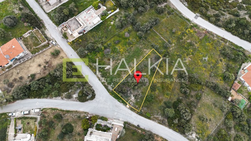 Οικόπεδο 585 τ.μ. προς πώληση, Νέες Παγασές