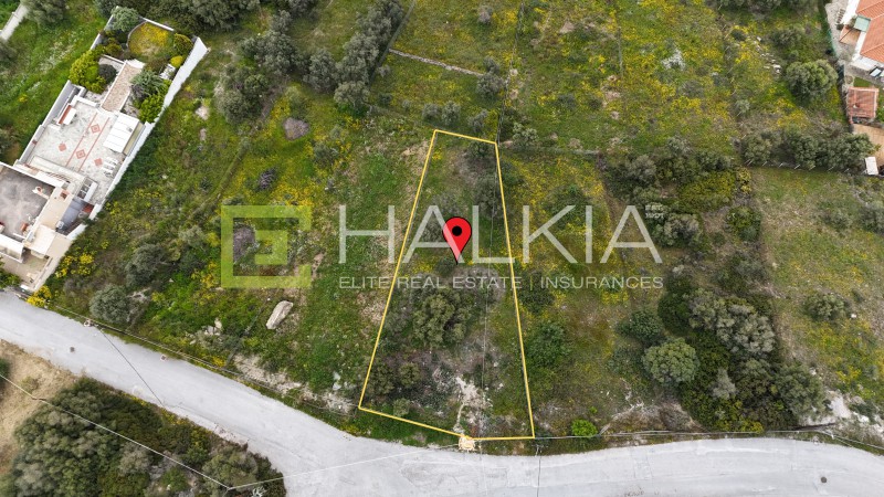 Οικόπεδο 585 τ.μ. προς πώληση, Νέες Παγασές