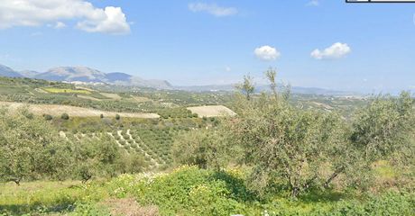 Οικόπεδο 4.200 τ.μ. για πώληση