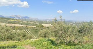 Οικόπεδο 4.200 τ.μ. για πώληση