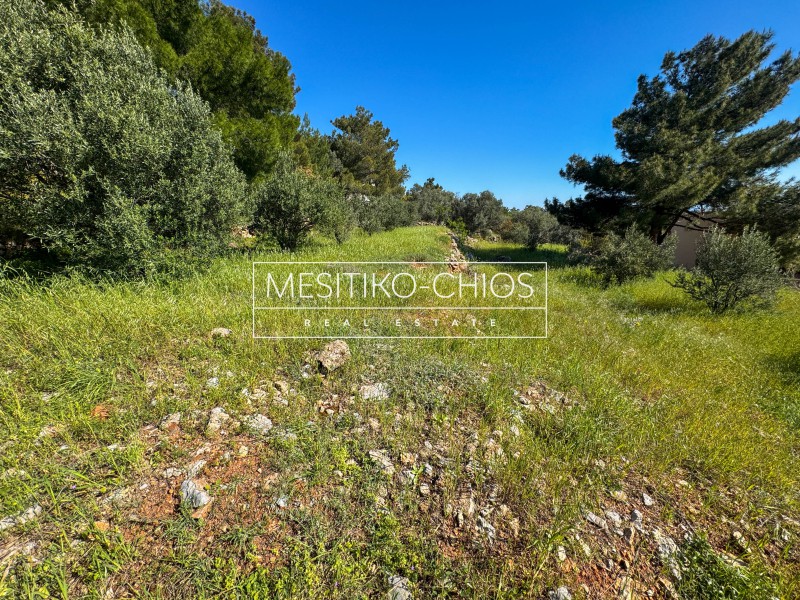 Οικόπεδο 958,54 τ.μ. προς πώληση, Πόλη Χίου