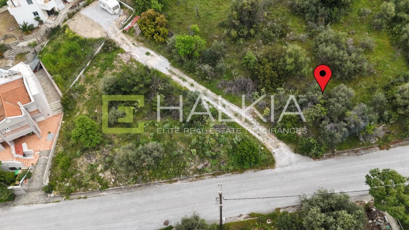 Οικόπεδο 601 τ.μ. προς πώληση, Νέες Παγασές