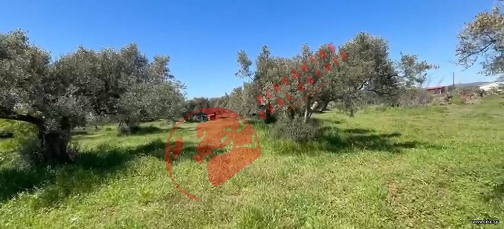 Οικόπεδο 3.989 τ.μ. πρός πώληση, Εβρος, Αλεξανδρούπολη