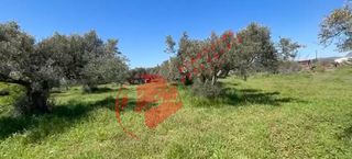 Οικόπεδο 3.989 τ.μ. για πώληση