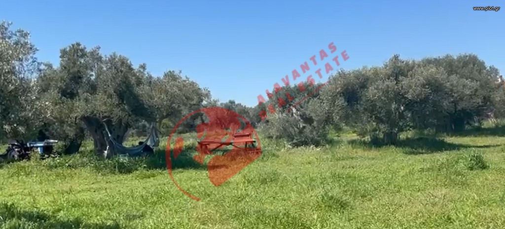 Οικόπεδο 3.989 τ.μ. πρός πώληση, Εβρος, Αλεξανδρούπολη