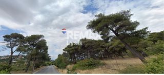 Οικόπεδο 1.411 τ.μ. για πώληση