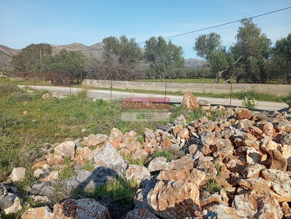 Οικόπεδο 7.751 τ.μ. προς πώληση, Σταυρός Ακρωτηρίου