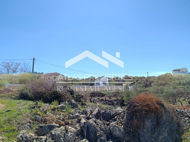 Οικόπεδο 1.941 τ.μ. προς πώληση, Πλάκα Βάμου