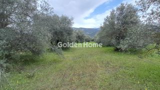 Οικόπεδο 2.182 τ.μ. για πώληση, Φωκίδα, Άμφισσα-thumb-5