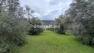 Οικόπεδο 2.182 τ.μ. για πώληση