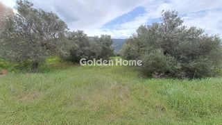 Οικόπεδο 2.182 τ.μ. για πώληση, Φωκίδα, Άμφισσα-thumb-3