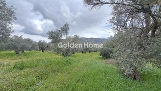 Οικόπεδο 2.182 τ.μ. για πώληση, Φωκίδα, Άμφισσα-thumb-6