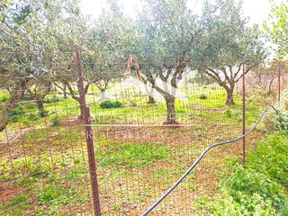 Οικόπεδο 2.613 τ.μ. για πώληση, Ν. Χανίων, Κολυμβάρι-thumb-3
