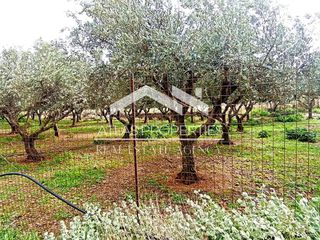 Οικόπεδο 2.613 τ.μ. για πώληση, Ν. Χανίων, Κολυμβάρι-thumb-17
