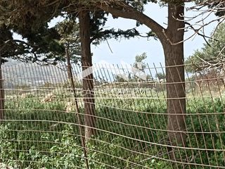 Οικόπεδο 2.613 τ.μ. για πώληση, Ν. Χανίων, Κολυμβάρι-thumb-2