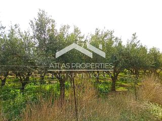 Οικόπεδο 2.613 τ.μ. για πώληση, Ν. Χανίων, Κολυμβάρι-thumb-19