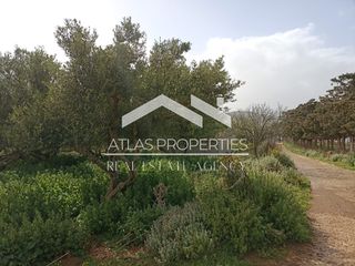 Οικόπεδο 2.613 τ.μ. για πώληση, Ν. Χανίων, Κολυμβάρι-thumb-10