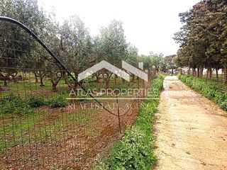 Οικόπεδο 2.613 τ.μ. για πώληση, Ν. Χανίων, Κολυμβάρι-thumb-24