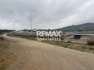 Οικόπεδο 10.000 τ.μ. για ενοικίαση