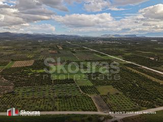 Αγροτεμάχια 3.616 τ.μ. για πώληση, Αργολίδα, Άργος-thumb-4