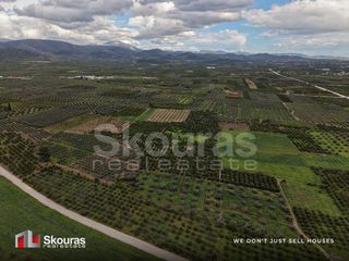 Αγροτεμάχια 3.616 τ.μ. για πώληση, Αργολίδα, Άργος-thumb-6