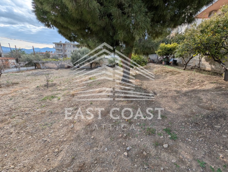 Οικόπεδο 720 τ.μ. πρός πώληση, Αθήνα - Ανατολικά Προάστια, Σπάτα