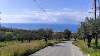 Αγροτεμάχια 2.115 τ.μ. για πώληση, Μεσσηνία, Καλαμάτα-thumb-15