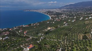 Αγροτεμάχια 2.115 τ.μ. για πώληση, Μεσσηνία, Καλαμάτα-thumb-9
