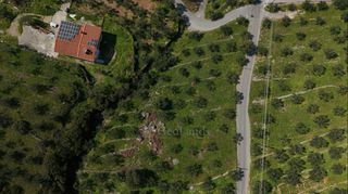 Αγροτεμάχια 2.115 τ.μ. για πώληση, Μεσσηνία, Καλαμάτα-thumb-6