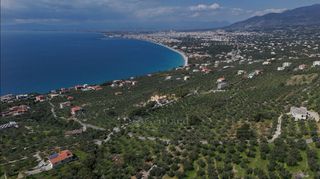 Αγροτεμάχια 2.115 τ.μ. για πώληση, Μεσσηνία, Καλαμάτα-thumb-13
