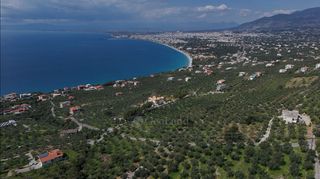Αγροτεμάχια 2.115 τ.μ. για πώληση, Μεσσηνία, Καλαμάτα-thumb-17
