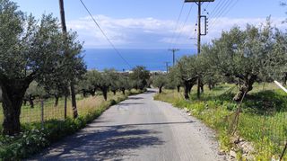 Αγροτεμάχια 2.115 τ.μ. για πώληση, Μεσσηνία, Καλαμάτα-thumb-11
