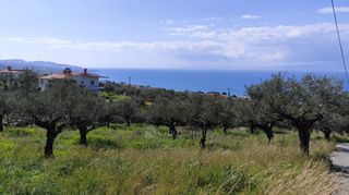Αγροτεμάχια 2.115 τ.μ. για πώληση, Μεσσηνία, Καλαμάτα-thumb-3