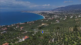 Αγροτεμάχια 2.115 τ.μ. για πώληση, Μεσσηνία, Καλαμάτα-thumb-1