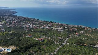 Αγροτεμάχια 2.115 τ.μ. για πώληση, Μεσσηνία, Καλαμάτα-thumb-4