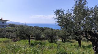 Αγροτεμάχια 2.115 τ.μ. για πώληση, Μεσσηνία, Καλαμάτα-thumb-23