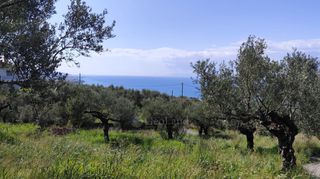 Αγροτεμάχια 2.115 τ.μ. για πώληση, Μεσσηνία, Καλαμάτα-thumb-7